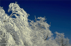 Kamchatka, winter, Камчатка, зимний отдых